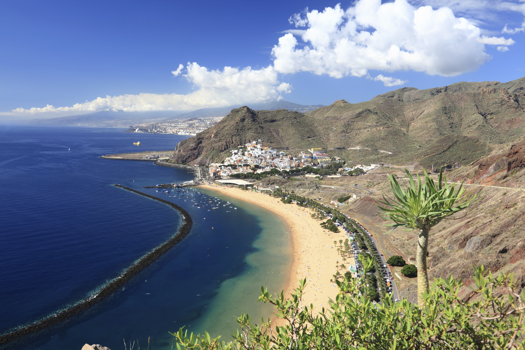 Ver fotos de la isla de la palma 8 Ver fotos de la isla de la palma 46