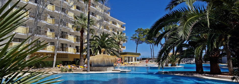 Best Places For Food In Alcudia Best Places For Food In Alcudia