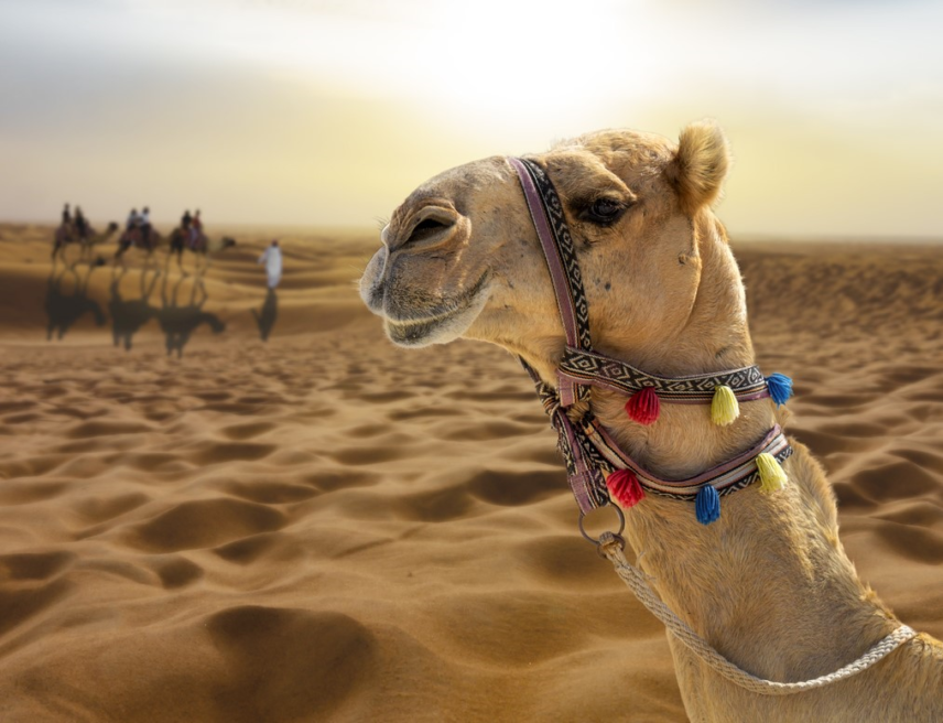 How Hot Is Dubai TravelRepublic Blog how-hot-is-dubai-travelrepublic-blog